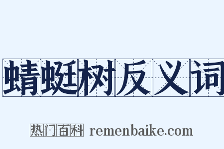 蜻蜓树反义词是什么意思的图片